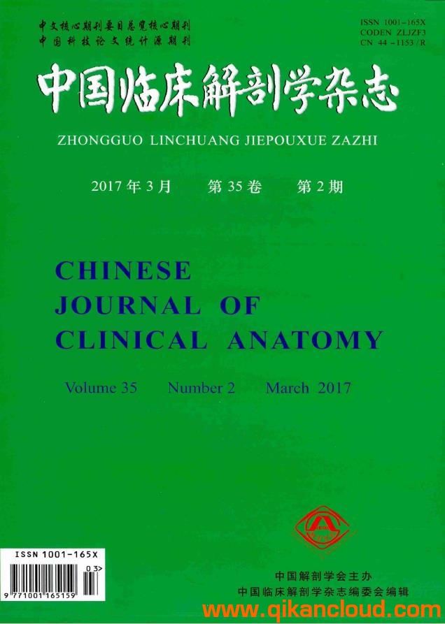 中國臨床解剖學雜志