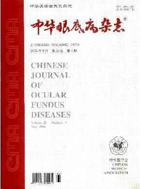 中華眼底病雜志