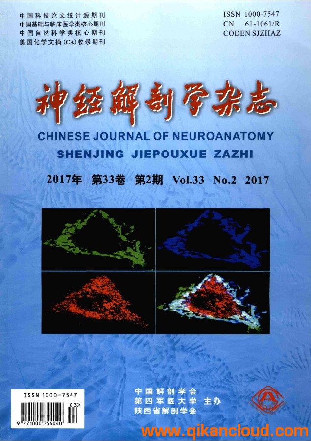 神經(jīng)解剖學雜志